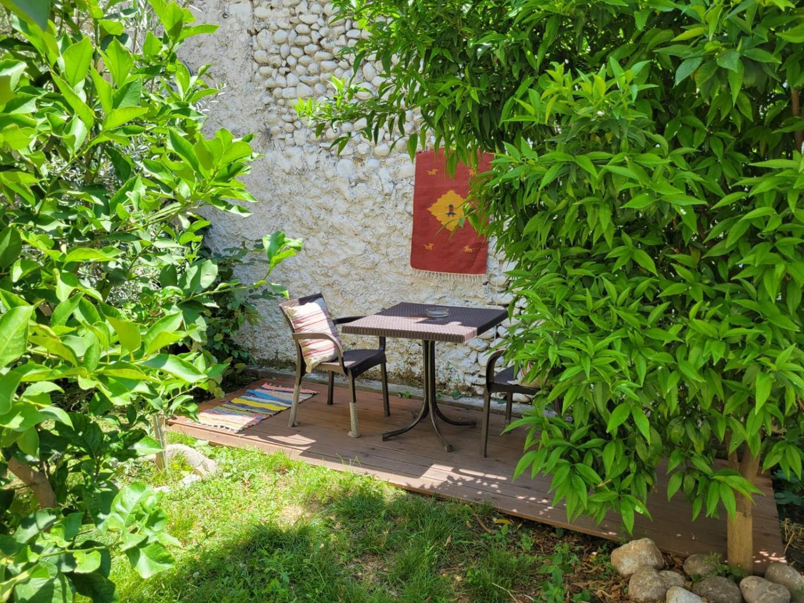 Vila Koltrina Shkodër Exteriér fotografie